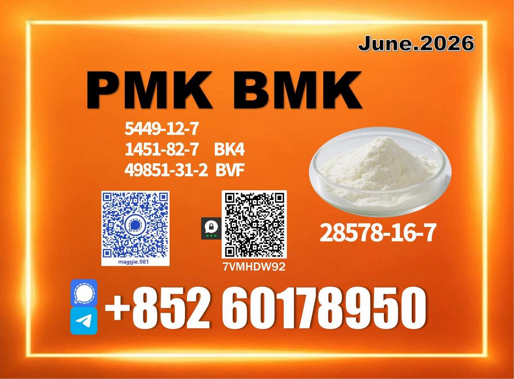 New PM.K CAS 28578-16-7 Bulk Supply Fast Response New PM.K CAS 28578-16-7 Bulk Supply Fast Response