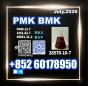 PM.K CAS 28578-16-7 new 5449-12-7 new laboratory sample