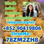 5CLADBA 5fadb Synthetic cannabinoid 5cladb-a adbb 5cl-adb-a
