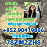 5CLADBA precursor powder 5cl-adb-a 5cladb adbb jwh018