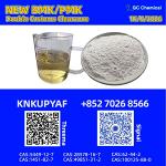 Worldwide transport flow CAS 28578-16-7 PMK network