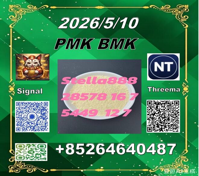 competitive price cas 28578-16-7 P.MK and cas 5449-12-7 B.MK in China now competitive price cas 28578-16-7 P.MK and cas 5449-12-7 B.MK in China now