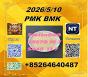 best service PM.K cas 28578-16-7 and BM.K cas 5449-12-7/49851-31-2 inChina