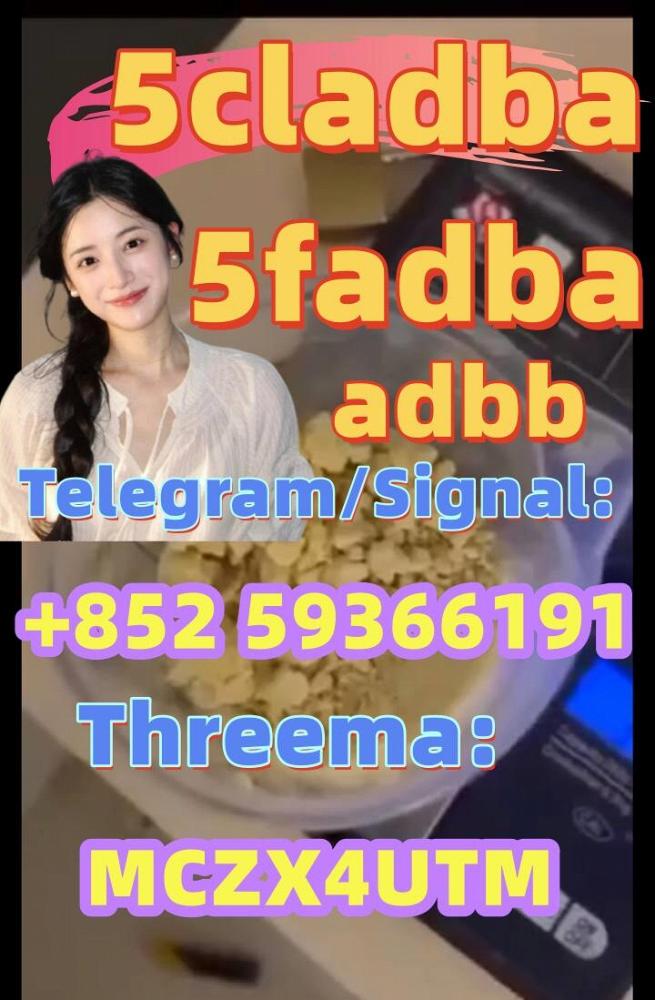 5cladb 5CL-ADB-a High quality Powder 5cladba Raw material Adbb 5cladb 5CL-ADB-a High quality Powder 5cladba Raw material Adbb