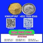 Global freight access PMK CAS 28578-16-7
