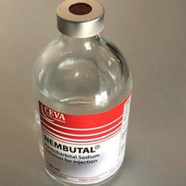 potassium cyanide,nembutal, pentobarbital(pills and powder, liquid )for sale potassium cyanide,nembutal, pentobarbital(pills and powder, liquid )for sale