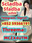 supply 5CL-ADB-A 5CLADBA strong adbb