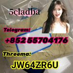 5cladba raw material 5CL-ADB-A precursor raw 5cladba 5f adb