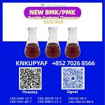CAS 28578-16-7 PMK Ethyl Glycidate Organic PMK Powder