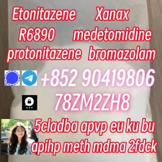 Bromethylazolam Fluoprazolam protonitazene 119276-01-6 R-6890