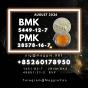 BMK CAS 5449-12-7 Reliable supplier