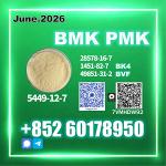 CAS 5449-12-7 BMK PMK 28578-16-7 Fast Processing