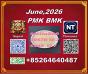 fast delivery PM.K cas 28578-16-7 and BM.K cas 5449-12-7