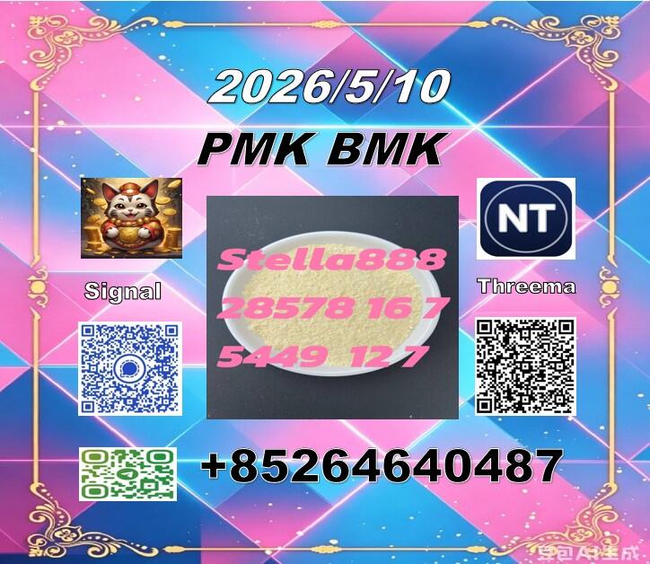 New model cas 28578-16-7 PM.K and cas 5449-12-7 BM.K/49851-31-2 New model cas 28578-16-7 PM.K and cas 5449-12-7 BM.K/49851-31-2