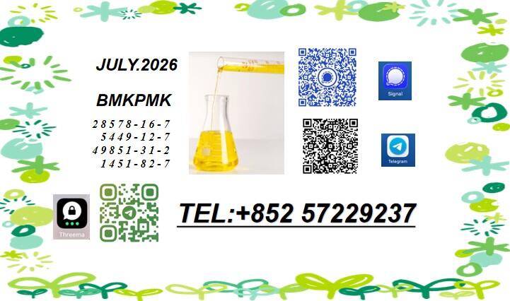 PMK CAS 28578-16-7 PMK Ethyl Glycidate Stable Supplier CAS 5449-12-7 PMK CAS 28578-16-7 PMK Ethyl Glycidate Stable Supplier CAS 5449-12-7