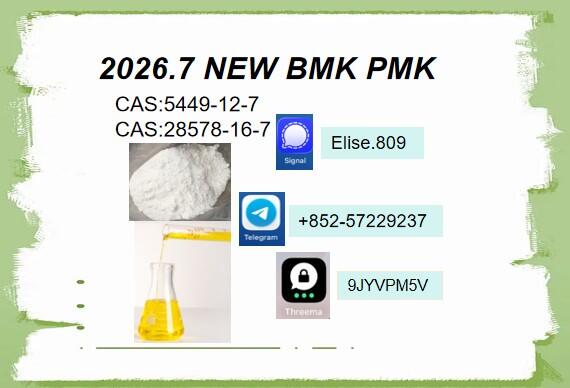 Professional Service BMK 5449-12-7 PMK 28578-16-7 Professional Service BMK 5449-12-7 PMK 28578-16-7