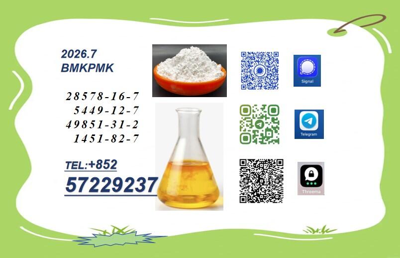 BMK 5449-12-7 PMK 28578-16-7 Professional Service High-Quality Premium Supplier BMK 5449-12-7 PMK 28578-16-7 Professional Service High-Quality Premium Supplier