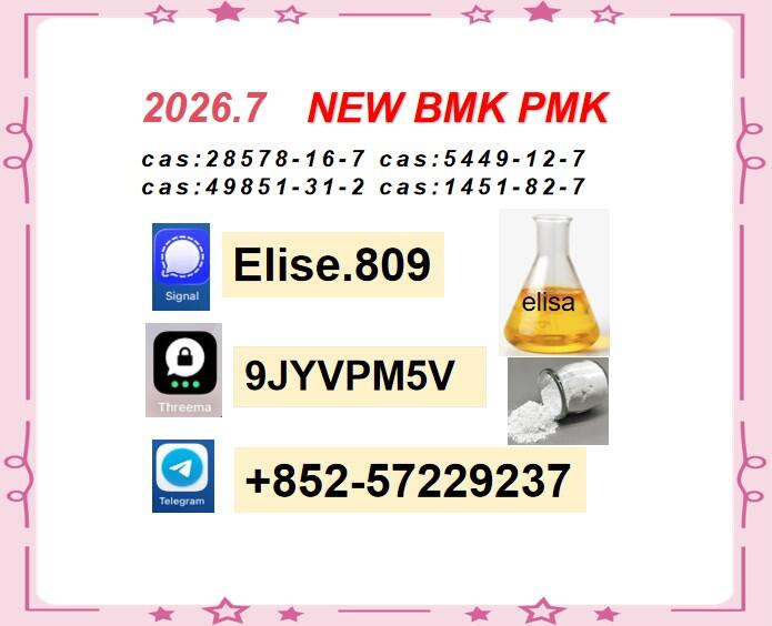 Reliable PMK Oil CAS 28578-16-7 High-Quality Premium Supplier