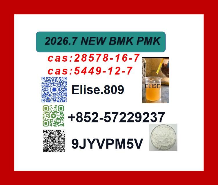 Original Manufacturer PM.K Oil CAS 28578-16-7 Using B.MK Powder 5449-12-7 Original Manufacturer PM.K Oil CAS 28578-16-7 Using B.MK Powder 5449-12-7
