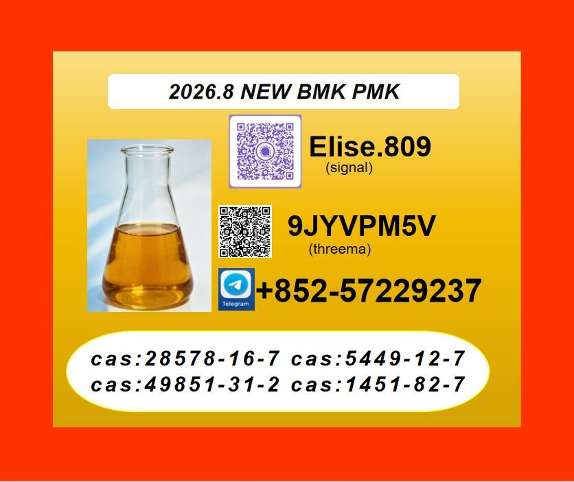 New PM.K 28578-16-7/ BM.K C.AS:5449-12-7/ Specialty Chemical Trading Solutions