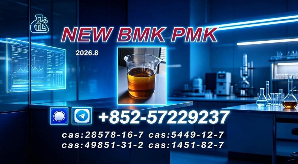 High Quality PMK Oil CAS 28578-16-7 | Chemical Manufacturer