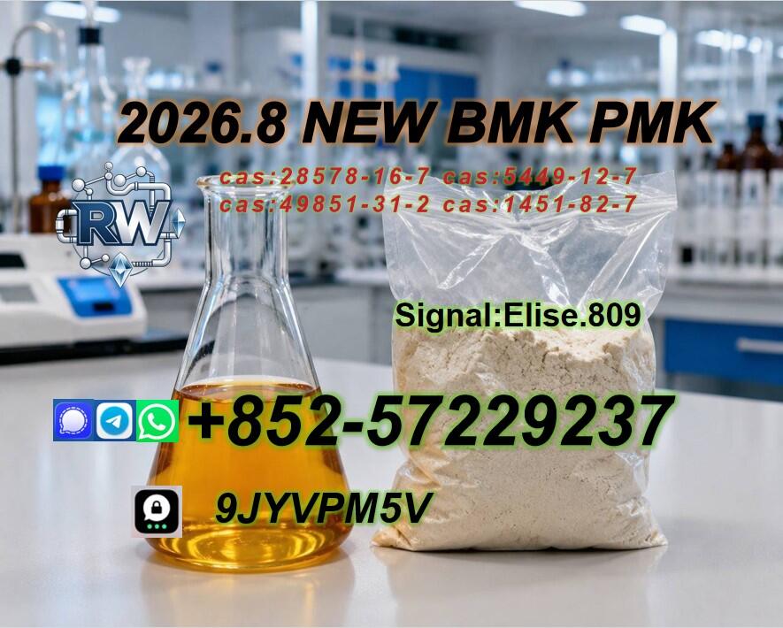 PMK Oil Powder CAS 28578-16-7 | Reliable Global Chemical Supply & Logistics PMK Oil Powder CAS 28578-16-7 | Reliable Global Chemical Supply & Logistics
