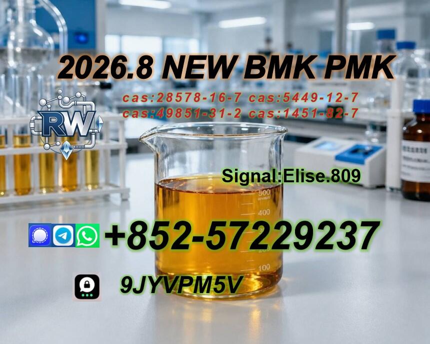 PMK Oil Powder CAS 28578-16-7 | International Market Supply Solutions PMK Oil Powder CAS 28578-16-7 | International Market Supply Solutions