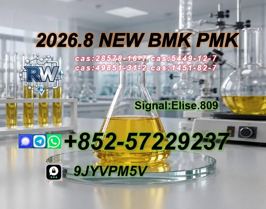 PMK Oil Powder CAS 28578-16-7 | Trusted Chemical Supply Partner PMK Oil Powder CAS 28578-16-7 | Trusted Chemical Supply Partner