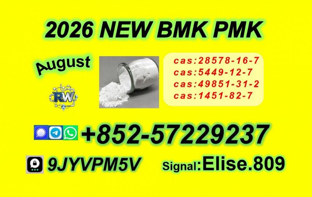 Direct communication PM-K Oil CAS 28578-16-7/ High Purity Direct communication PM-K Oil CAS 28578-16-7/ High Purity