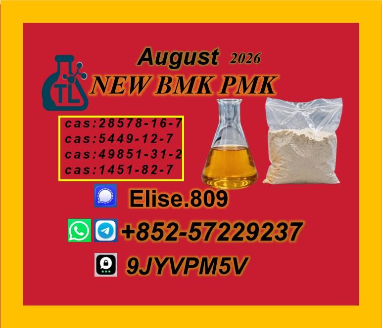 PMK Glycidate Powder CAS 28578-16-7 | High Purity