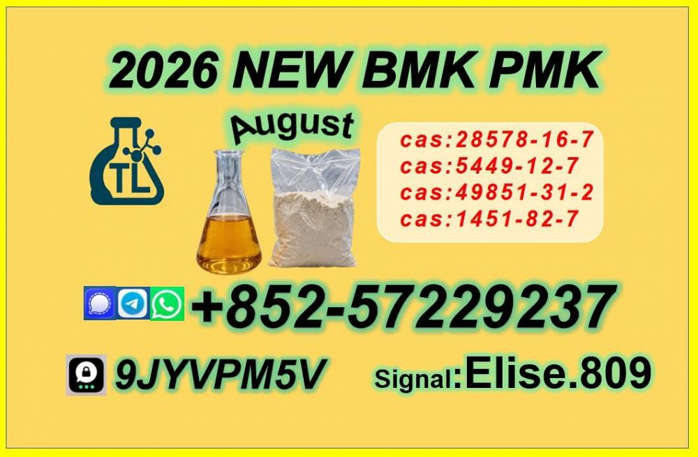 High Purity PMK Oil CAS 28578-16-7 | Fast shipping