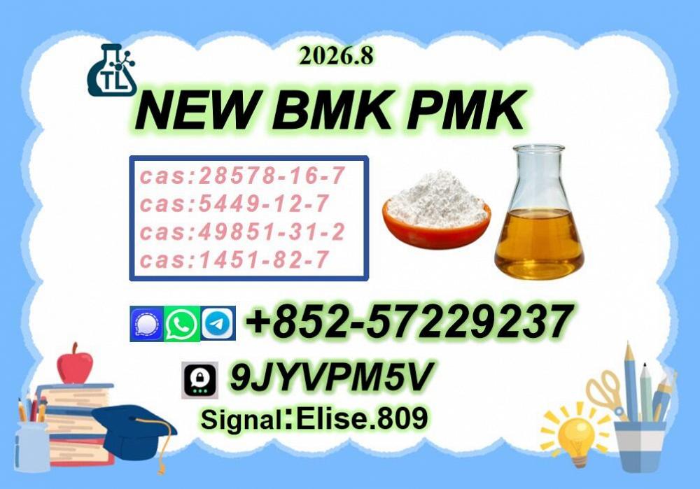 High Demand New Oil PMK Oil C.AS 28578-16-7// Powder B.MK C.AS 5449-12-7 High Demand New Oil PMK Oil C.AS 28578-16-7// Powder B.MK C.AS 5449-12-7