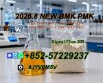 PMK Oil Powder CAS 28578-16-7 | Reliable Global Chemical Supply & Logistics