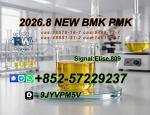 PMK Oil Powder CAS 28578-16-7 | Professional Chemical Trading Service
