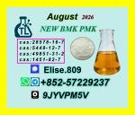 Factory Sales CAS 28578-16-7 New PM.K B.MK Extraction rate up to 75%