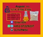 PMK Glycidate Powder CAS 28578-16-7 | High Purity