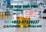 C.AS 28578-16-7 P.MK Ethyl Glycidate Stable Supplier 5449-12-7