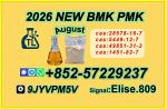 High Purity PMK Oil CAS 28578-16-7 | Fast shipping