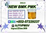 Trusted Supplier High Purity P.MK Oil C.AS 28578-16-7