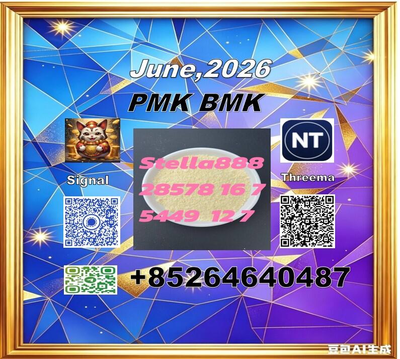 5449-12-7 BM.K and cas 28578-16-7 PM.K /New product in stock
