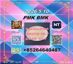 new products P.MK CAS 28578-16-7 PM.K Ethyl Glycidate