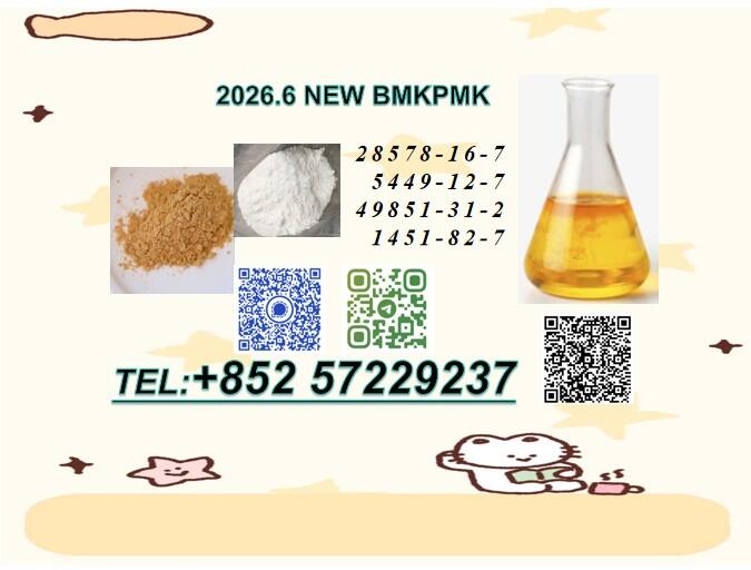 BMK 5449-12-7 PMK 28578-16-7 Inquire for Best Pricing BMK 5449-12-7 PMK 28578-16-7 Inquire for Best Pricing