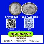 BMK CAS 5449-12-7 arranged around PMK CAS 28578-16-7