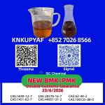PMK CAS 28578-16-7 synchronized jointly with BMK CAS 5449-12-7