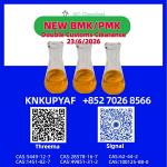 PMK CAS 28578-16-7 Priority Dispatch Access