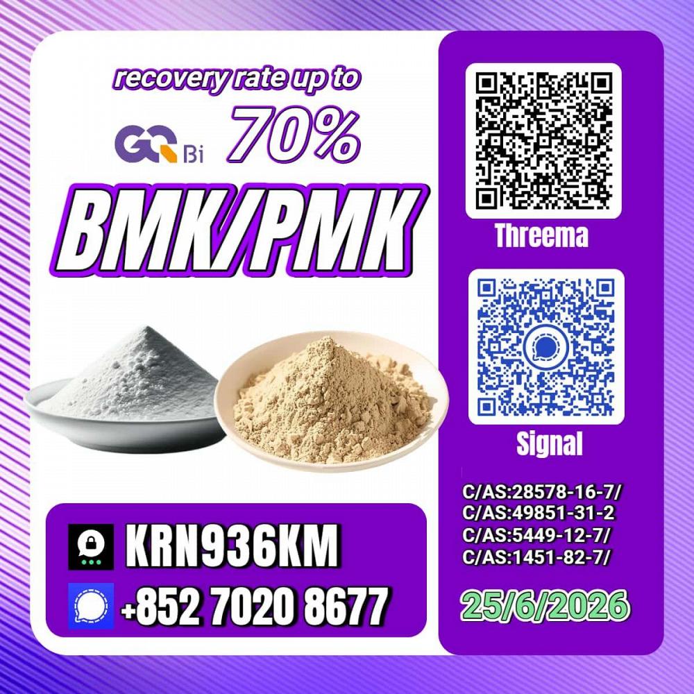 PM.K/CAS:28578-16-7/BM.K/5449-12-7 Lower Cost