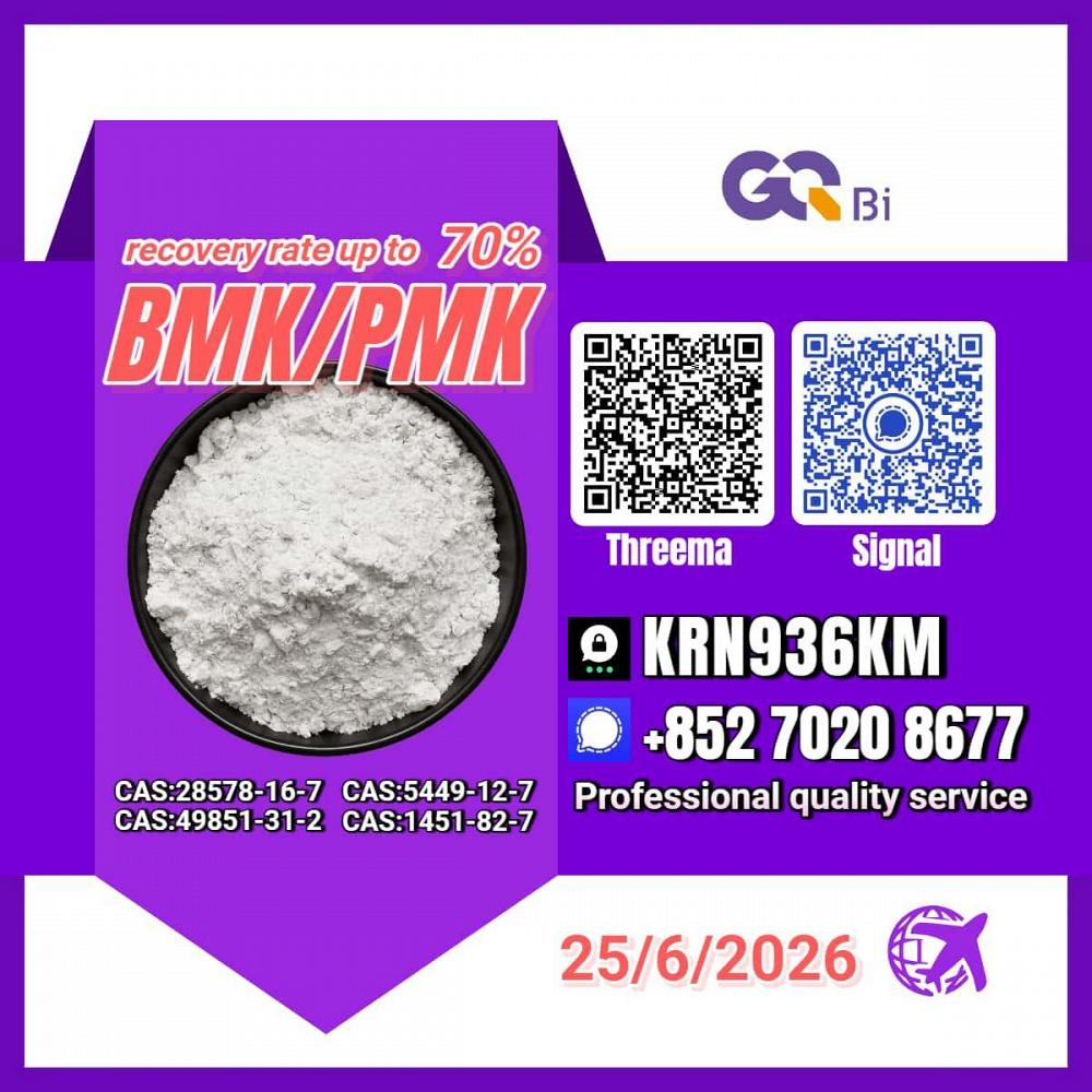 PM.K/CAS:28578-16-7/BM.K/5449-12-7 Factory Pricing