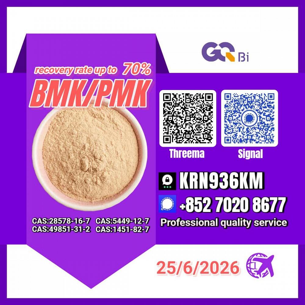 PM.K/CAS:28578-16-7/BM.K/5449-12-7 Bulk Savings