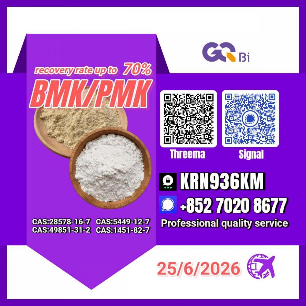 PM.K/CAS:28578-16-7/BM.K/5449-12-7 Special Offer