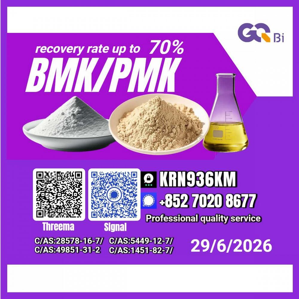 PM.K/C.AS:28578-16-7/Premium Quality BM.K/5449-12-7/